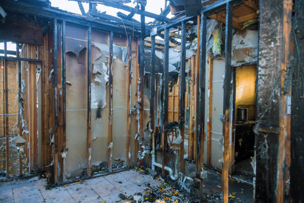 Professional Smoke Damage Removal technician working in Ellsworth, ME